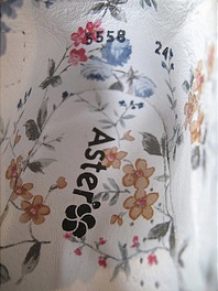 photo1