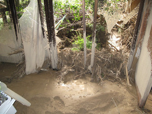 photo1