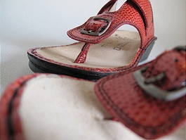 photo1