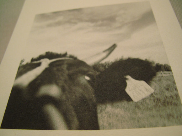 photo2