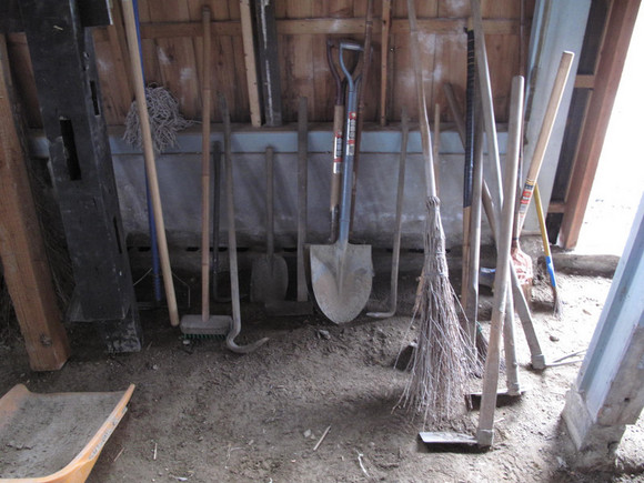 photo3