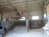 photo7