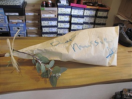 photo3