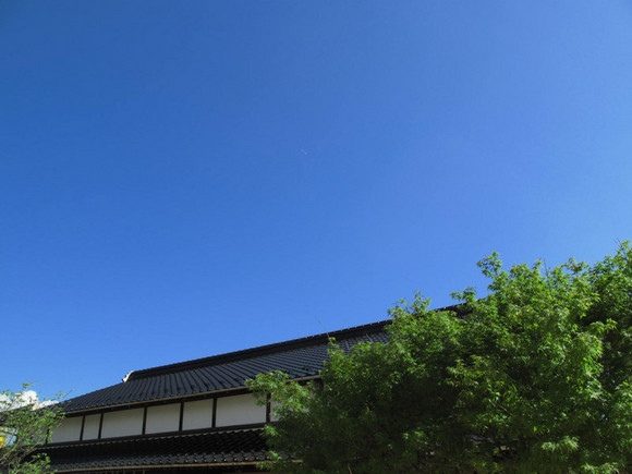 photo1