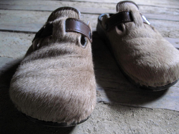 photo1