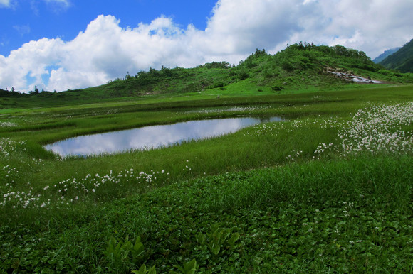 photo5