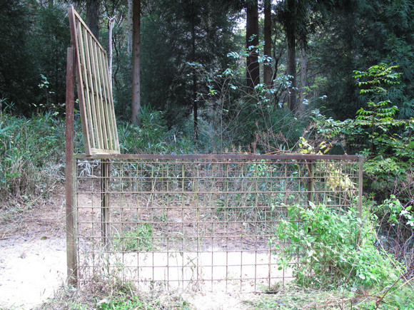 photo1